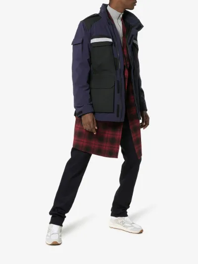 canada goose photojournalist