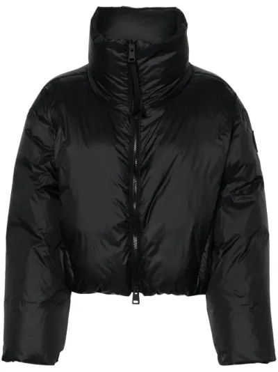 Canadian goose down jacket hk best sale