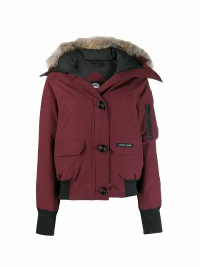 canada goose red puffer