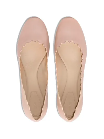 chloe lauren scalloped flats