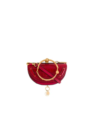 nile minaudière bag