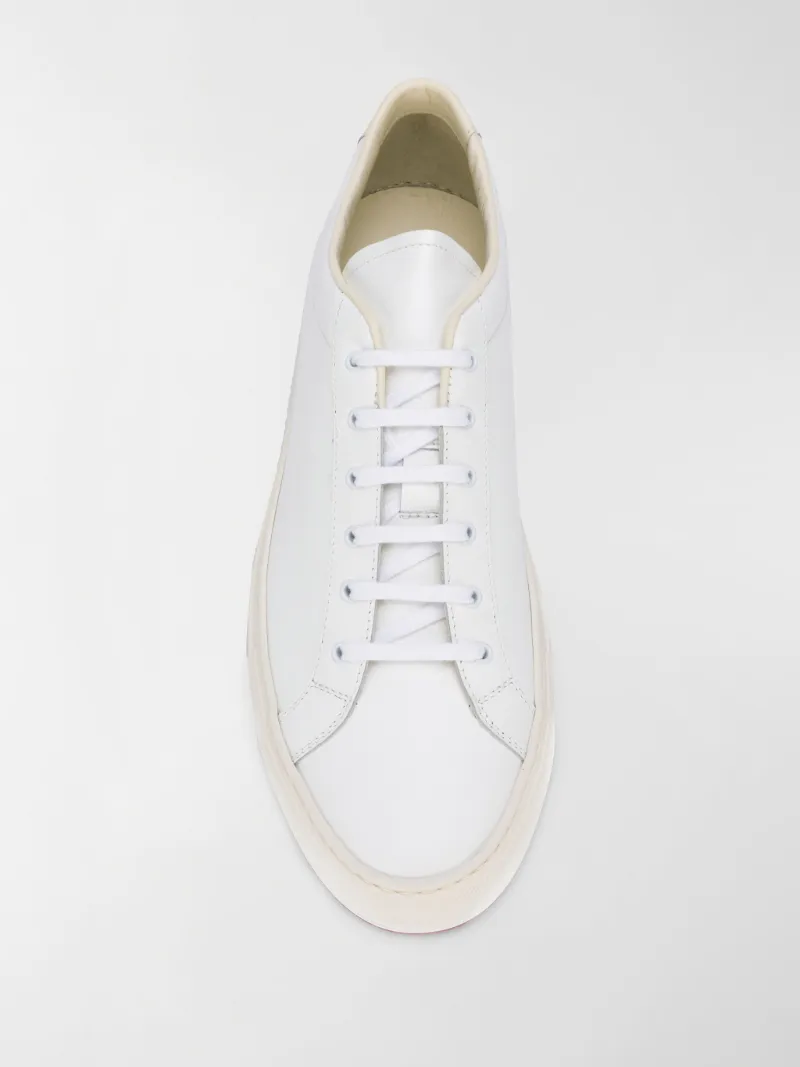 common projects laces