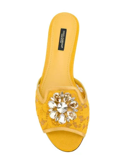 d&g flat sandals