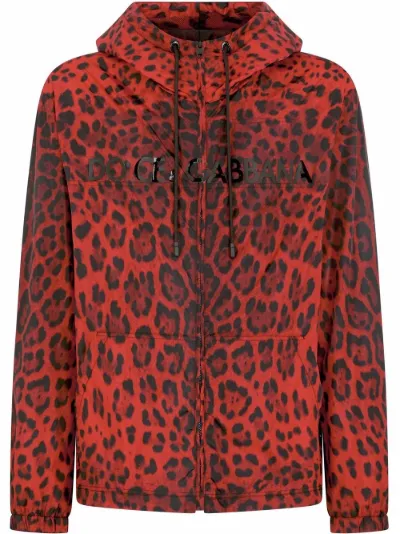 leopard print hooded jacket