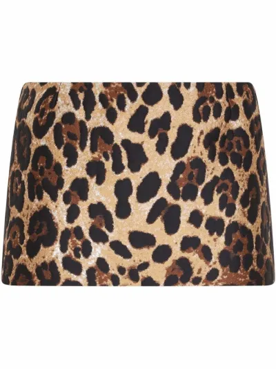 Dolce & gabbana leopard mini skirt best sale