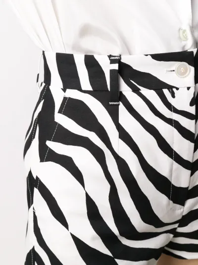 zebra print shorts | Dolce & Gabbana | Eraldo.com