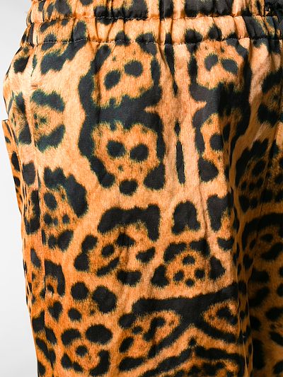 van leopard print