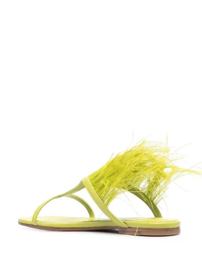 emilio pucci flat sandals