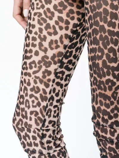 sheer leopard leggings