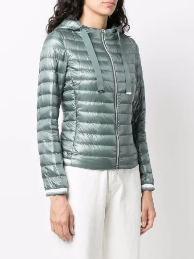 herno hooded padded jacket