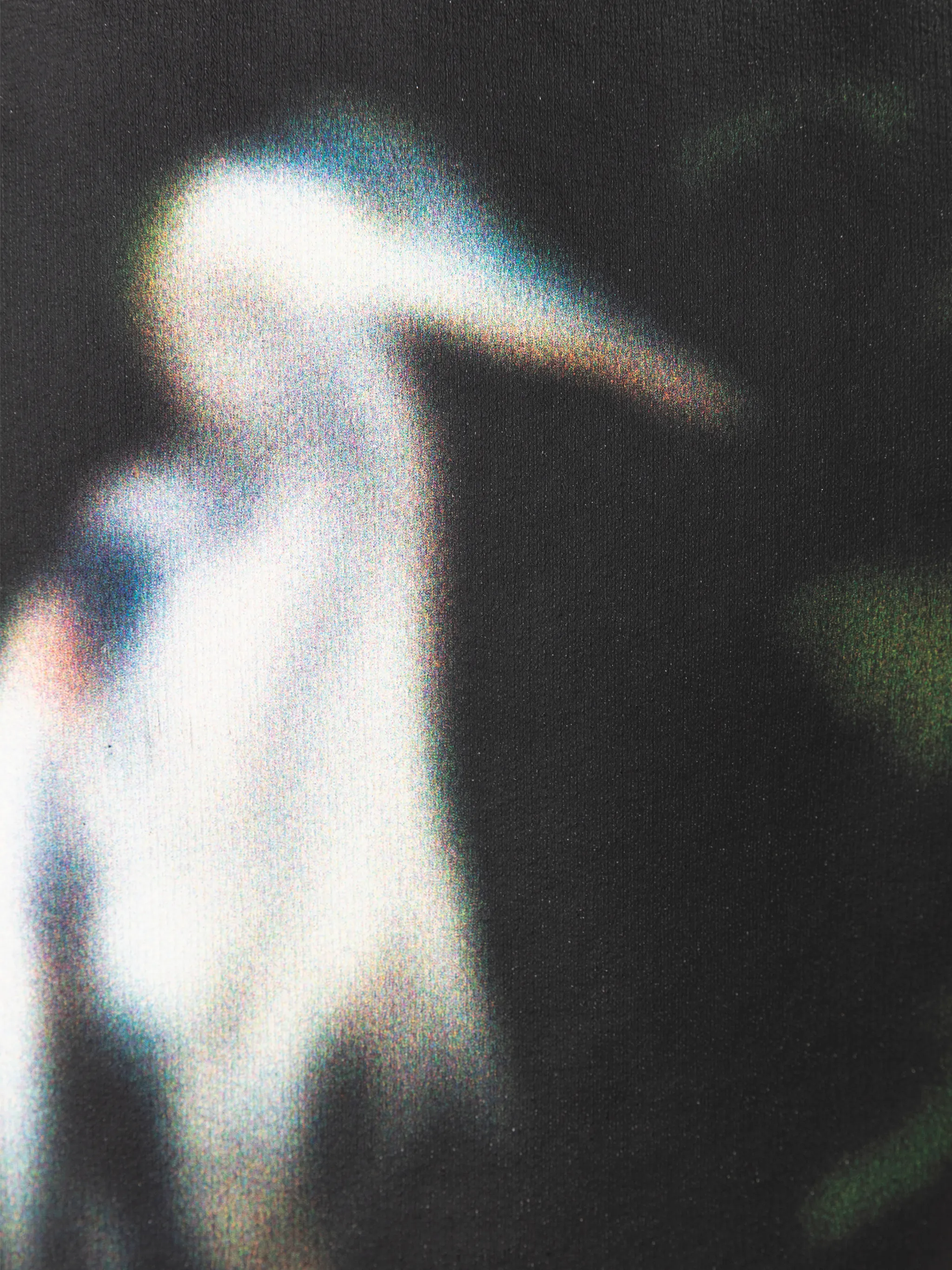CENSORED HERON SWEATSHIRT