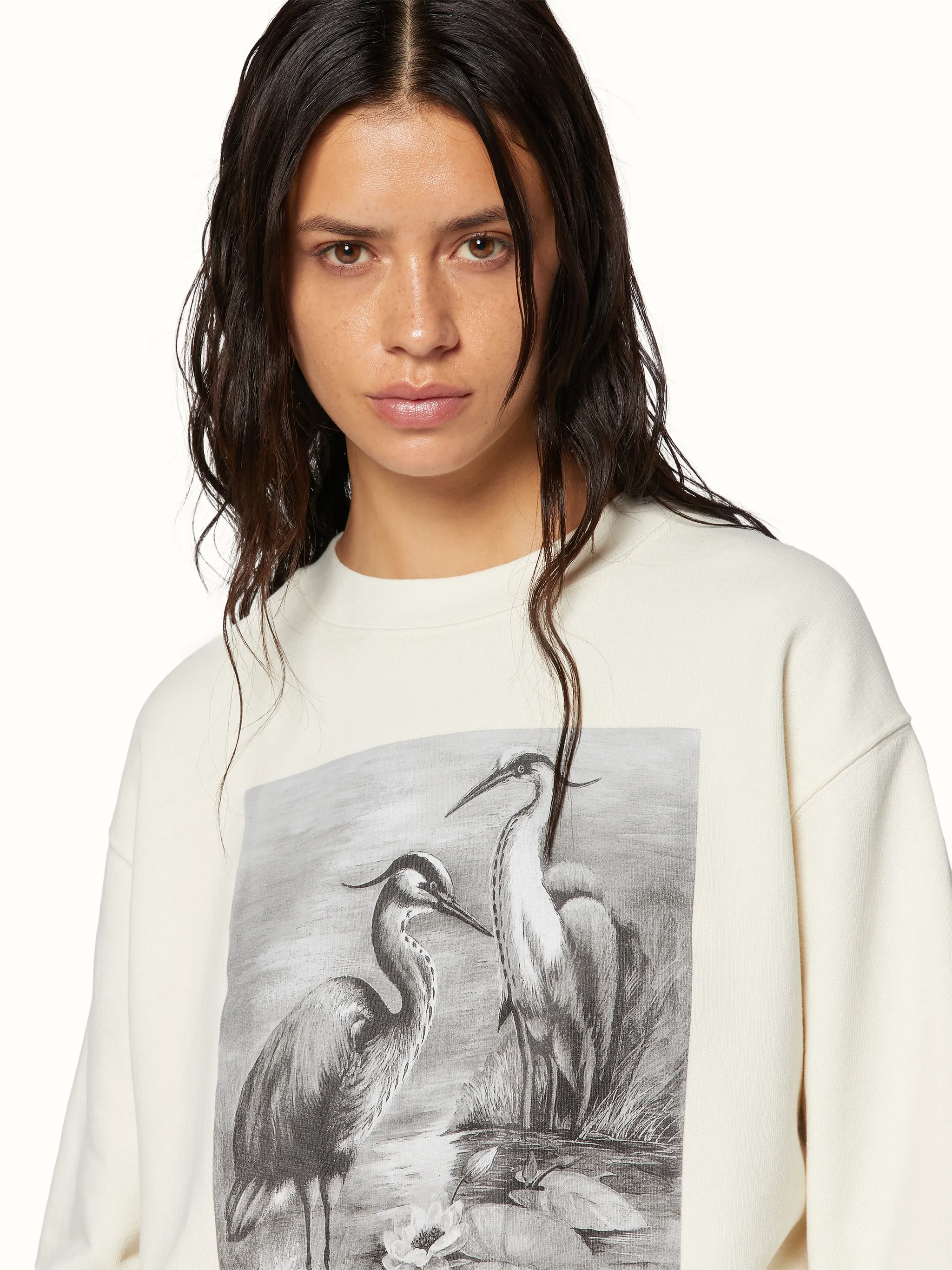 CREWNECK HERON BW