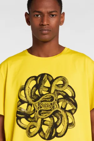 cavalli snake