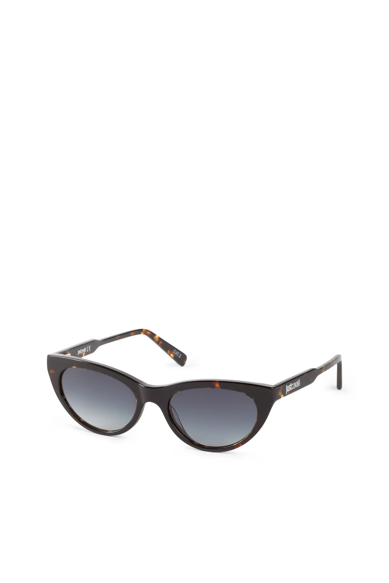 fish on sunglasses