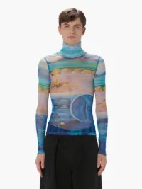 sheer long sleeve turtleneck