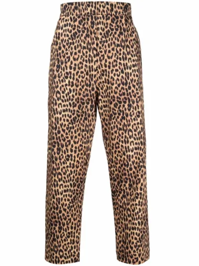 next leopard print trousers