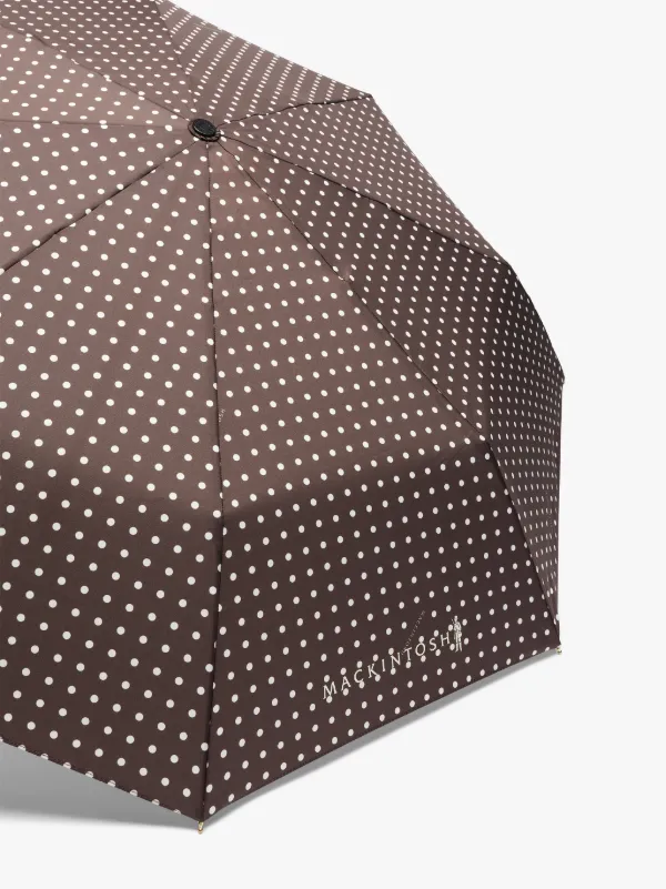 AYR Brown Polka Dot Automatic Telescopic Umbrella | ACC-027