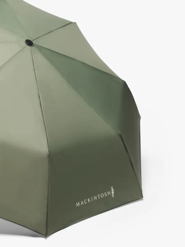 AYR Green Blue Automatic Telescopic Umbrella | ACC-027