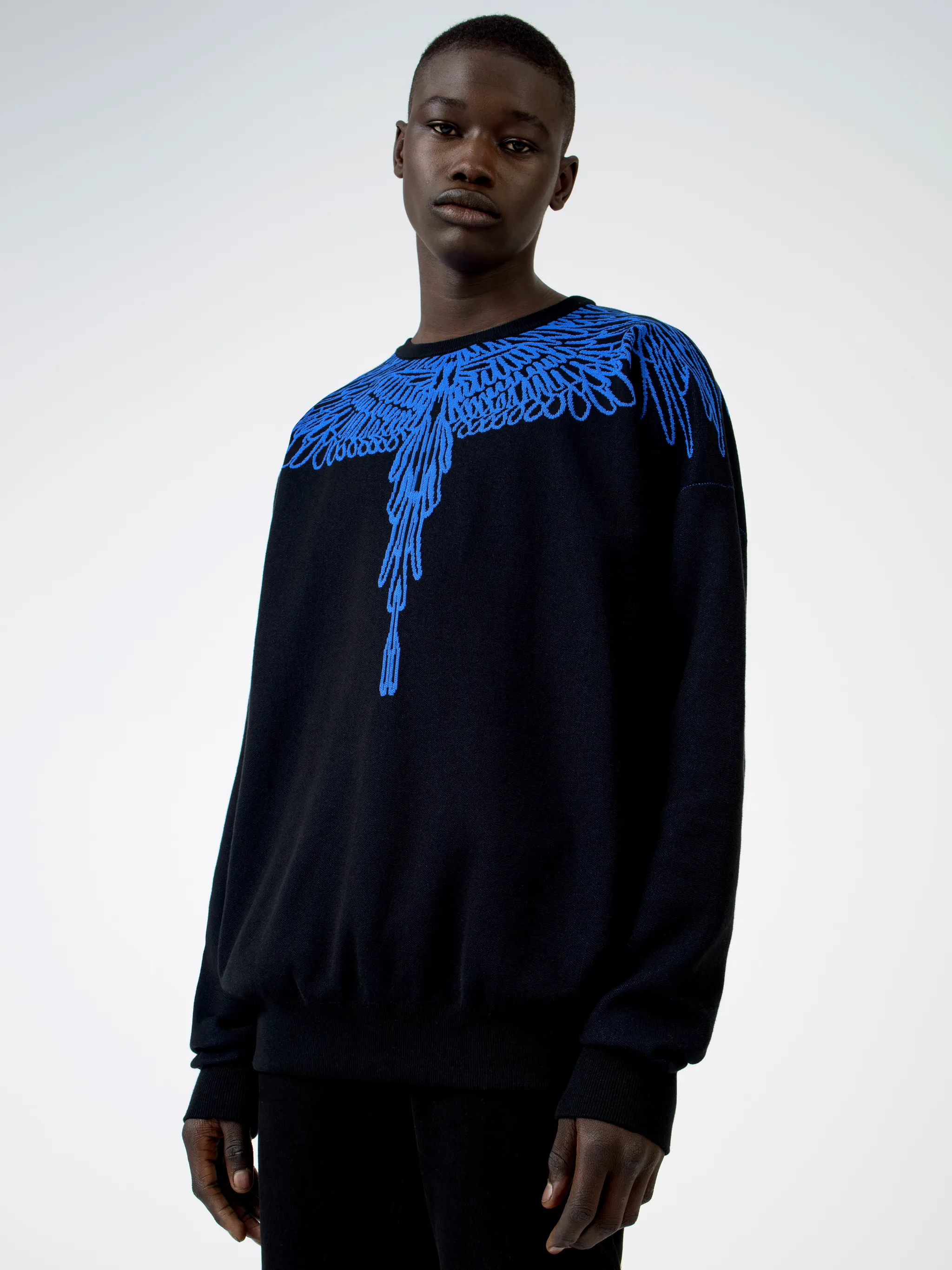 PICTORIAL WINGS SWEATER
