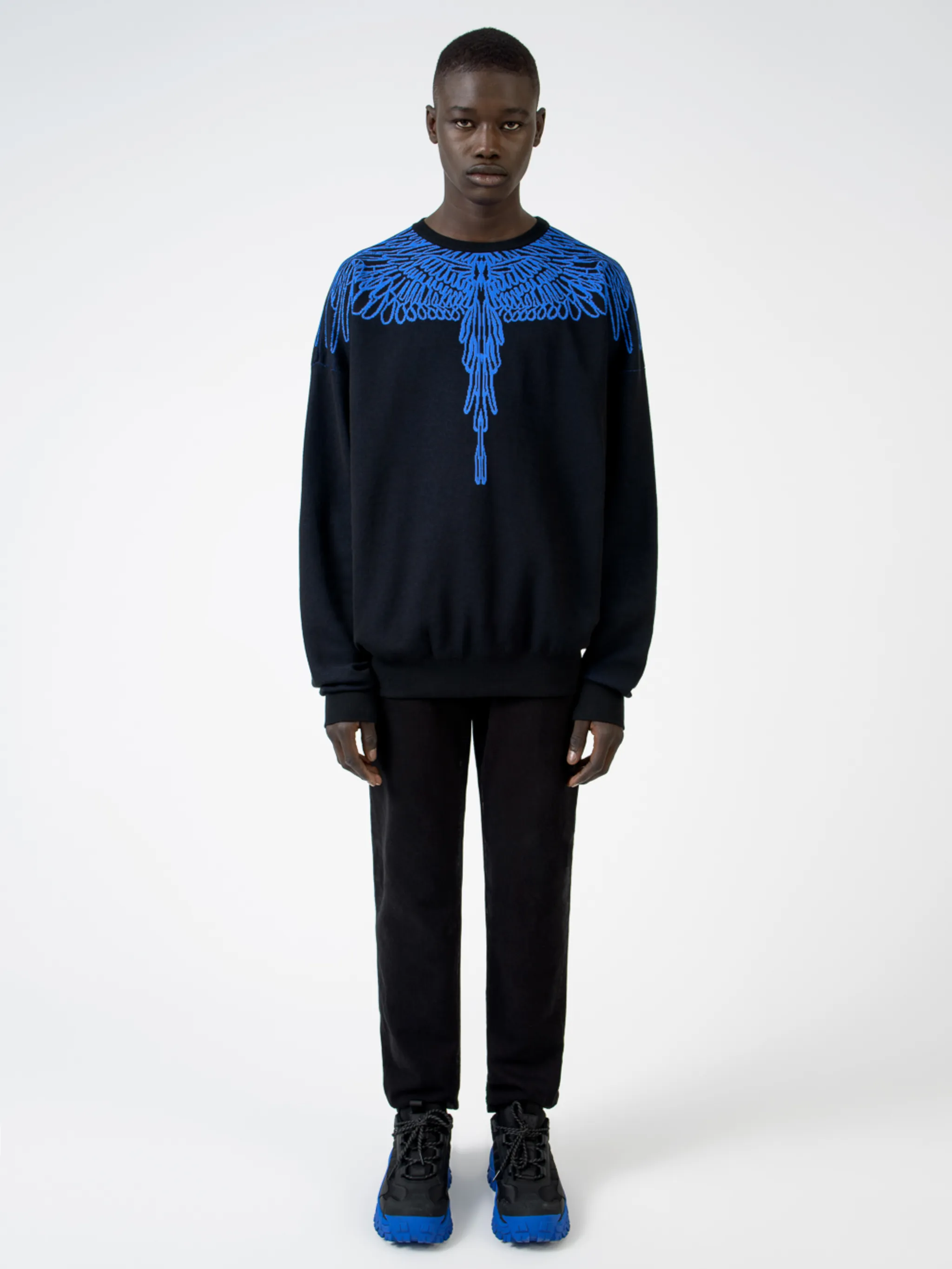 PICTORIAL WINGS SWEATER