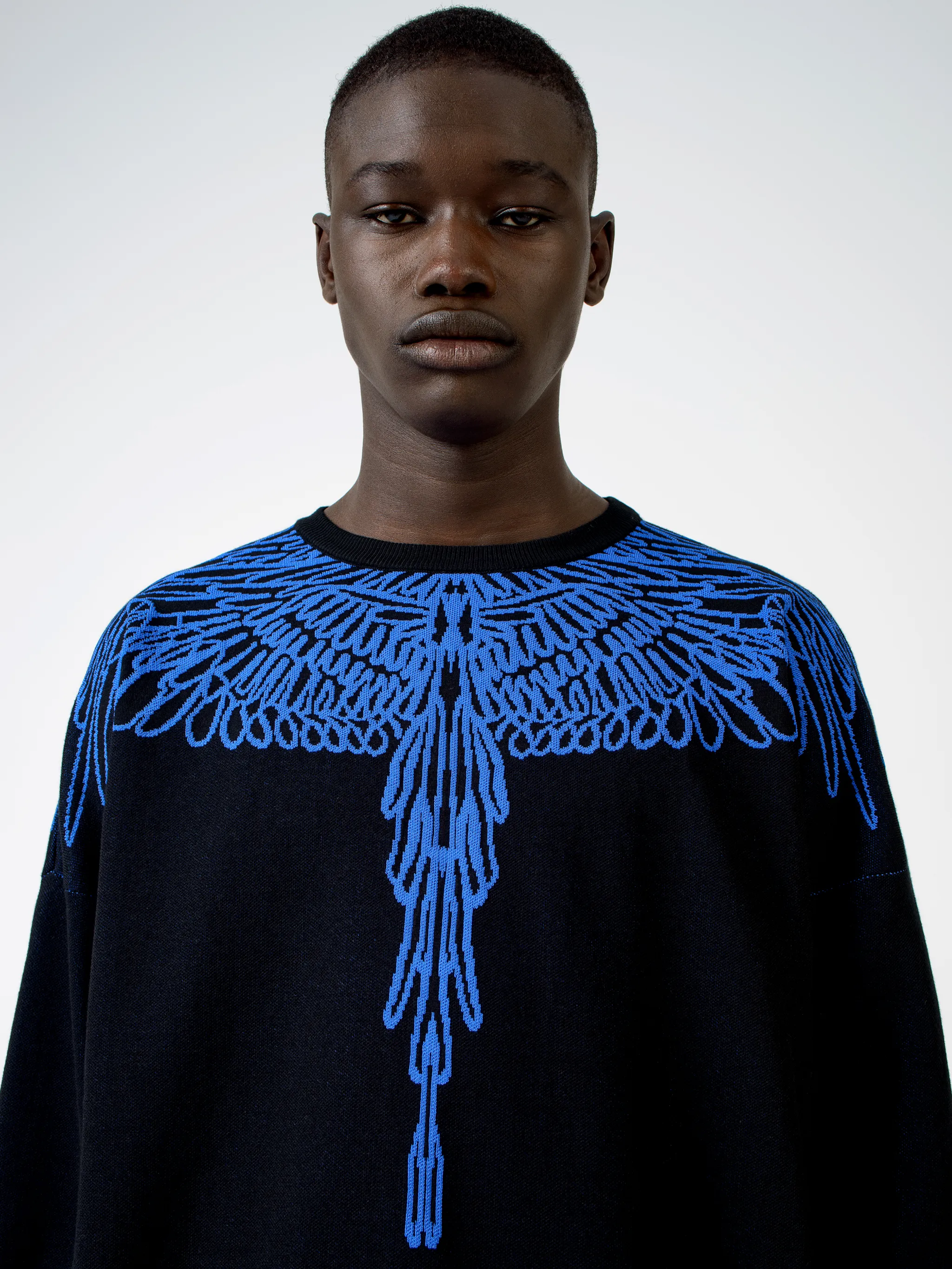PICTORIAL WINGS SWEATER