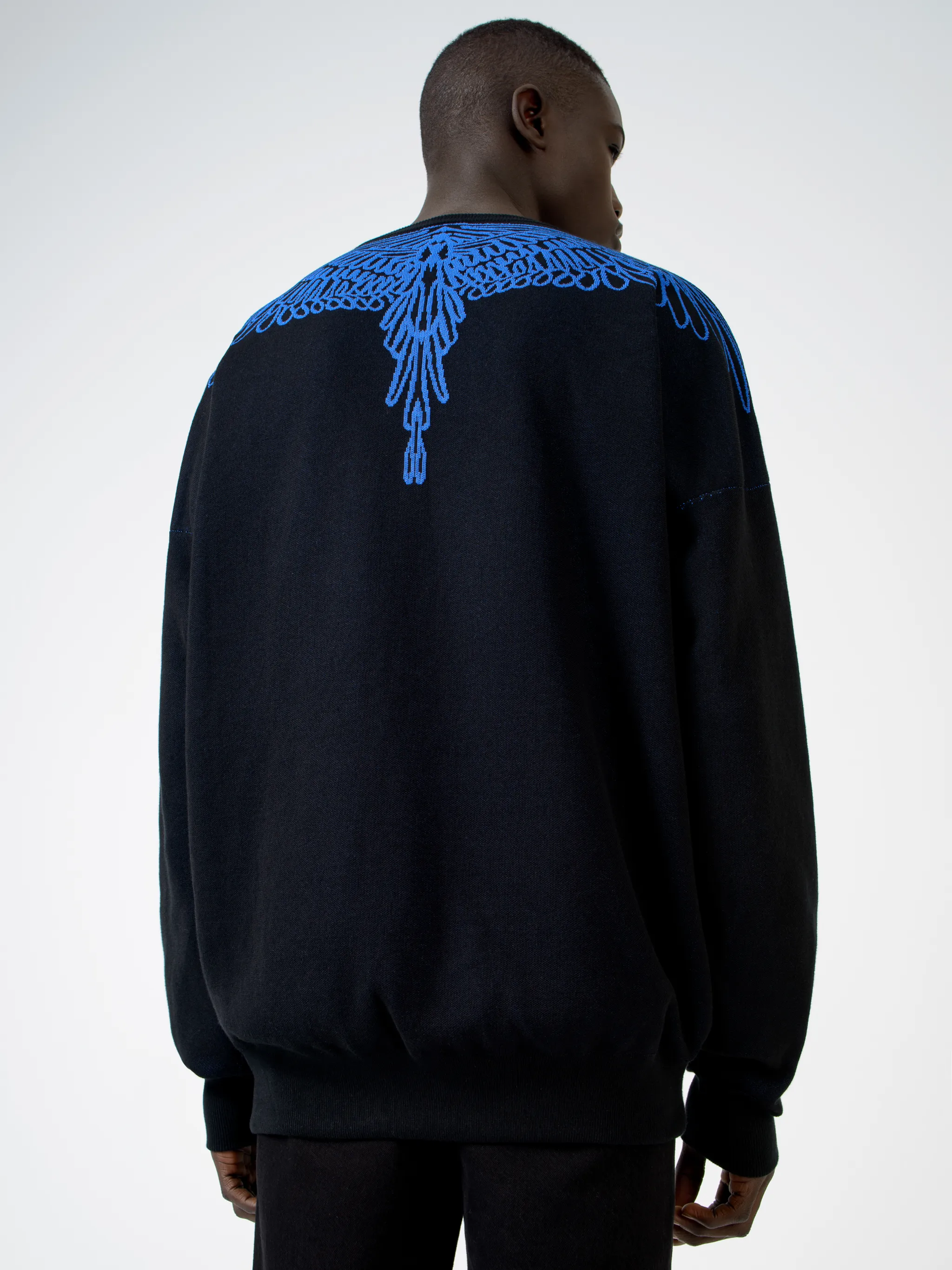 PICTORIAL WINGS SWEATER