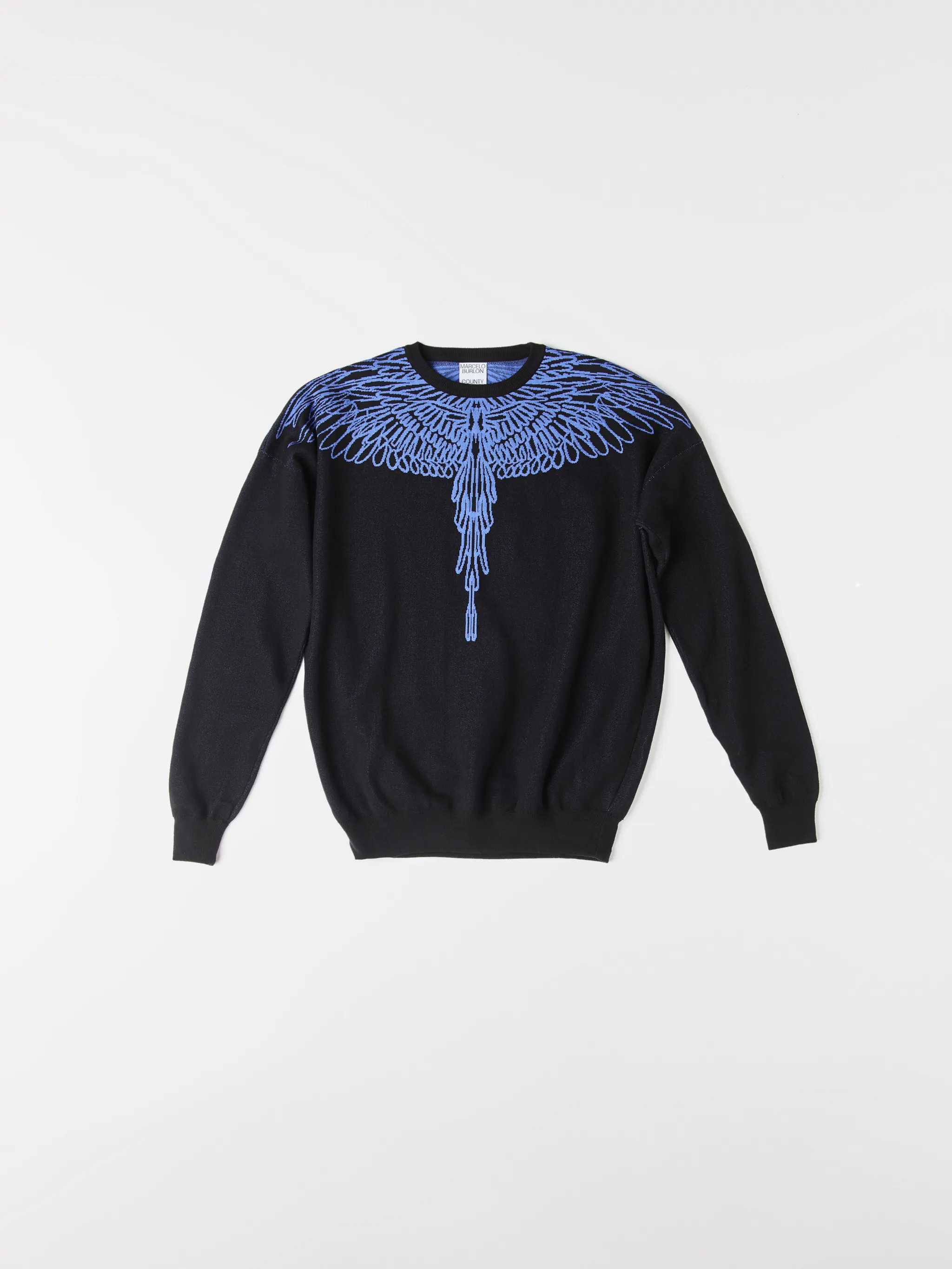 PICTORIAL WINGS SWEATER