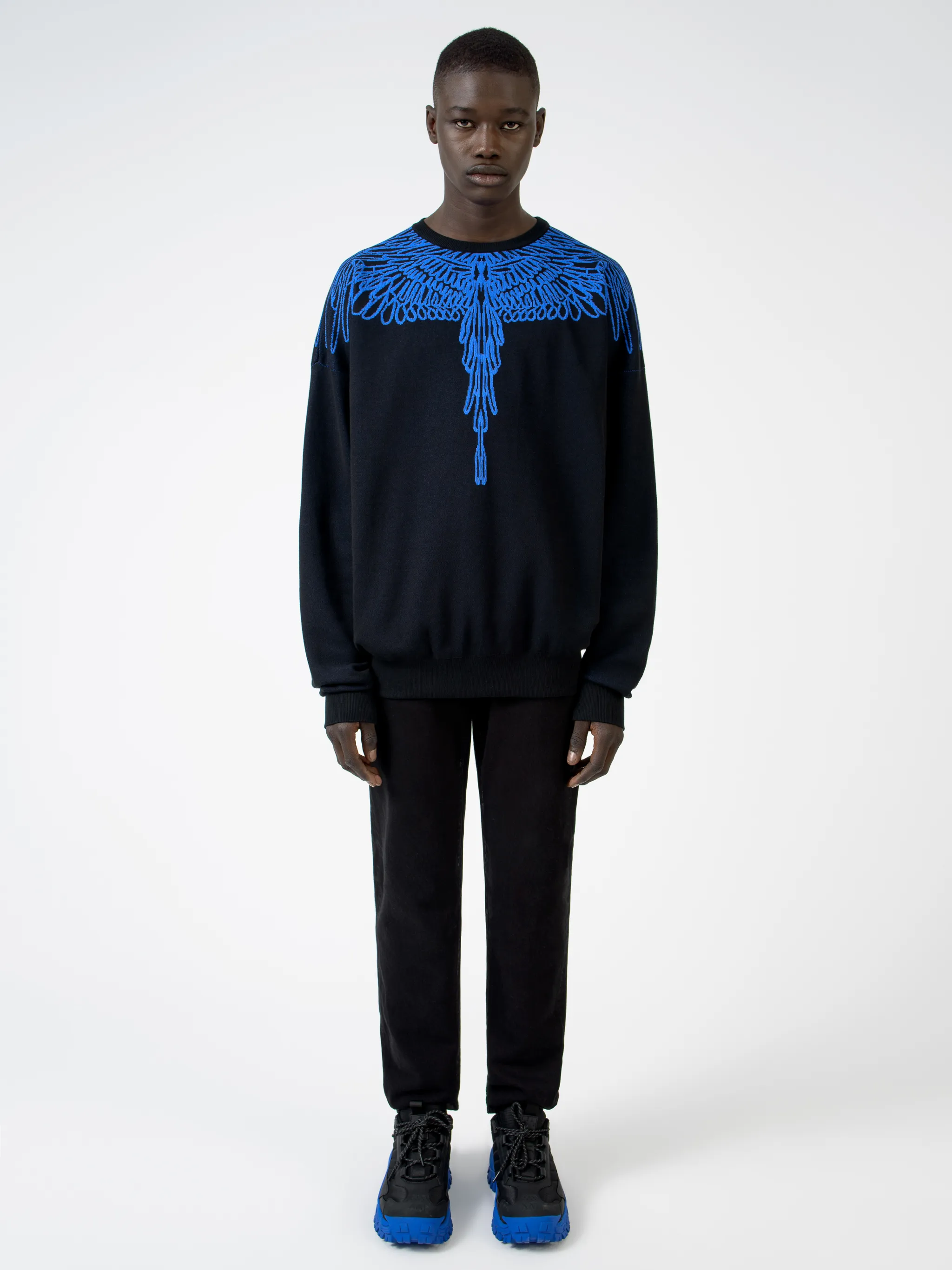 PICTORIAL WINGS SWEATER