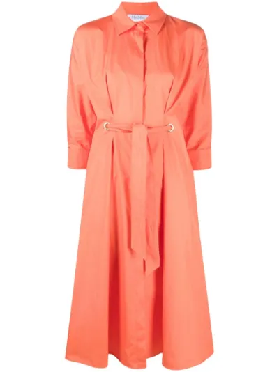 Max mara cotton dress best sale