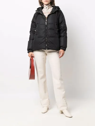 max mara puffer