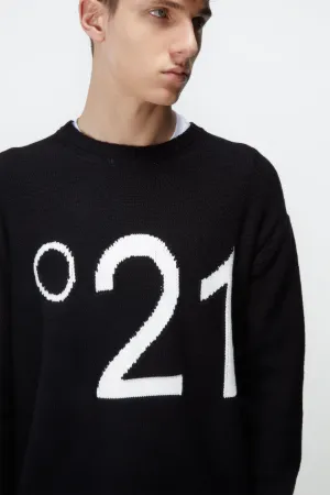 crew neck logo sweater