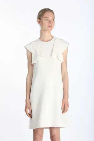 Ruffled Dress