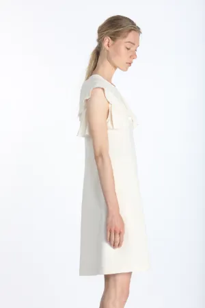 Ruffled Dress