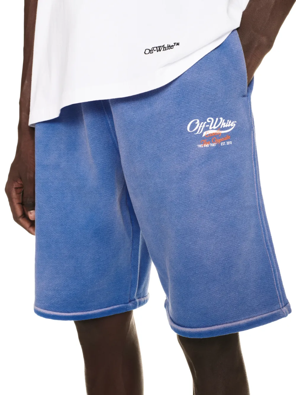 Wave Off Skate Sweatshorts