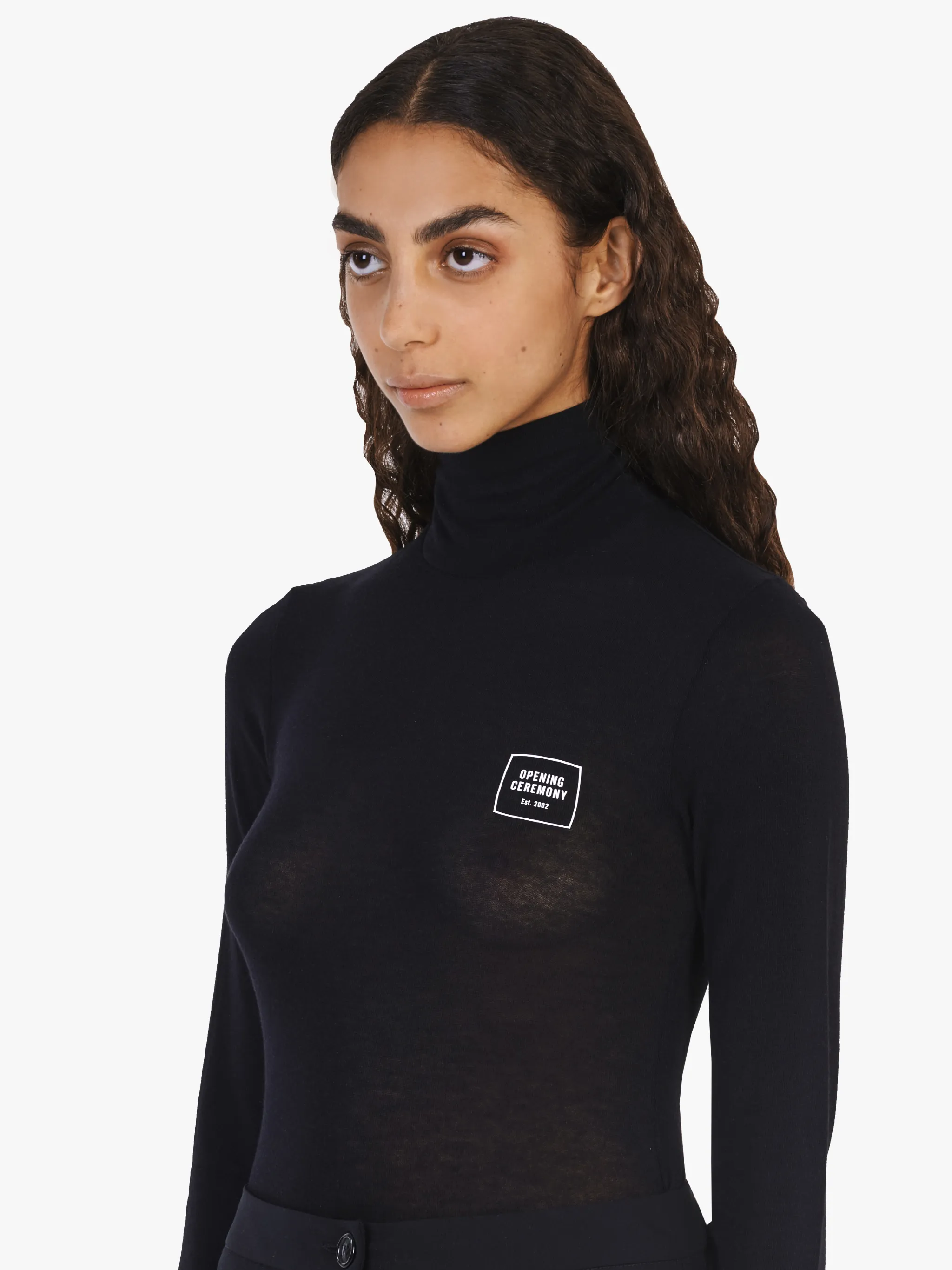 BLACK SMALL LOGO TURTLENECK