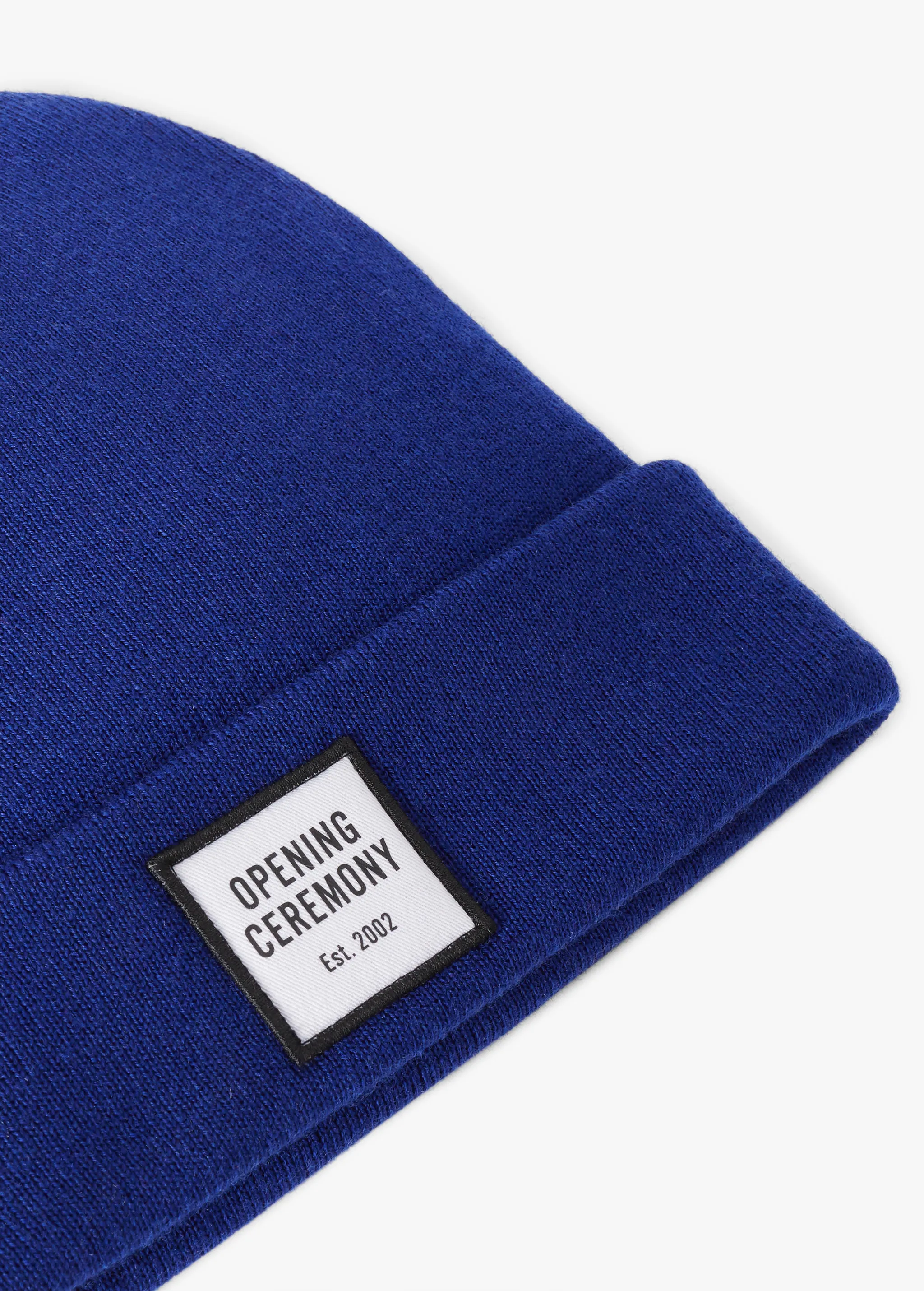 BLUE LOGO BEANIE