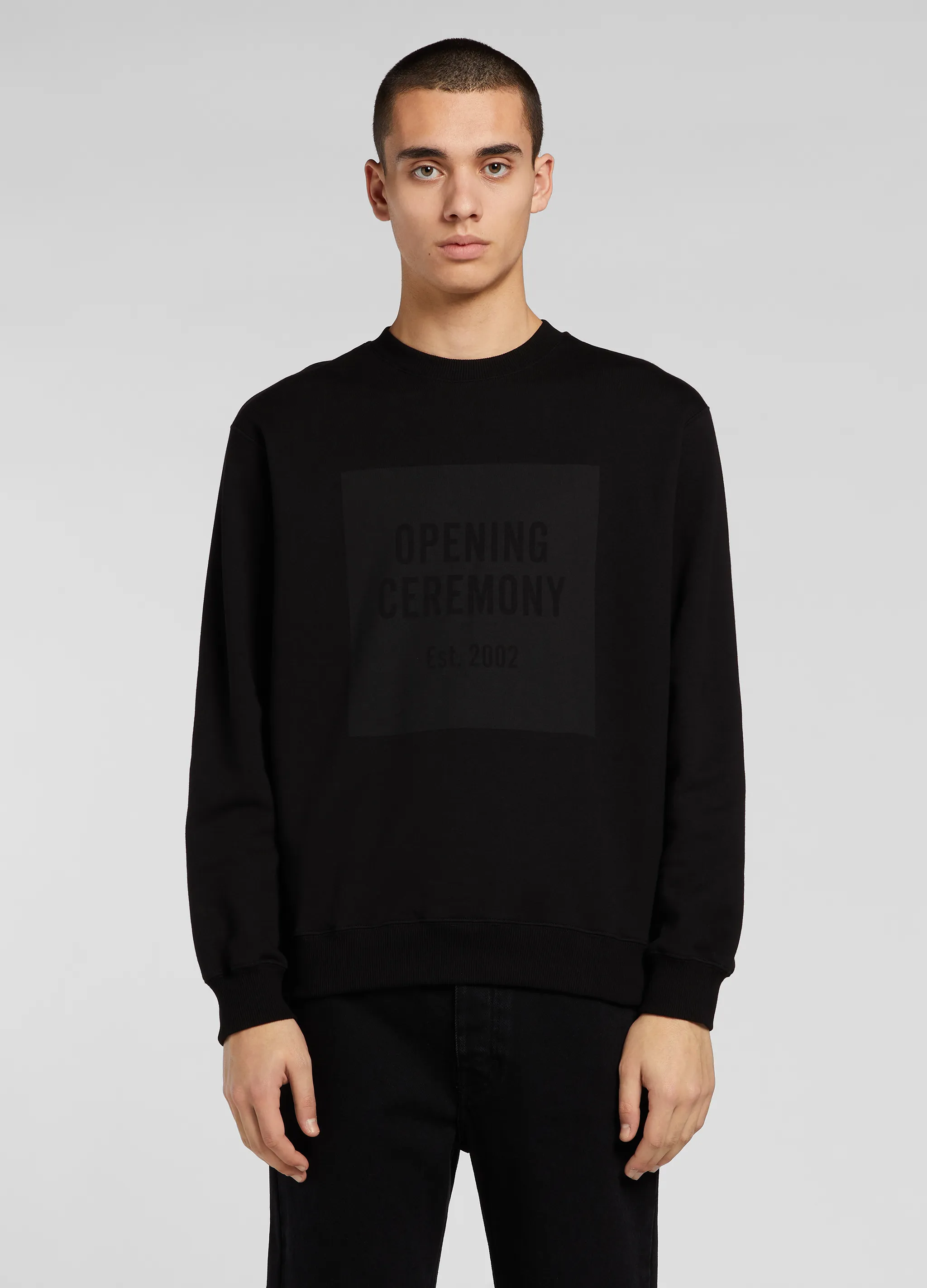 BOX LOGO SWEATSHIRT