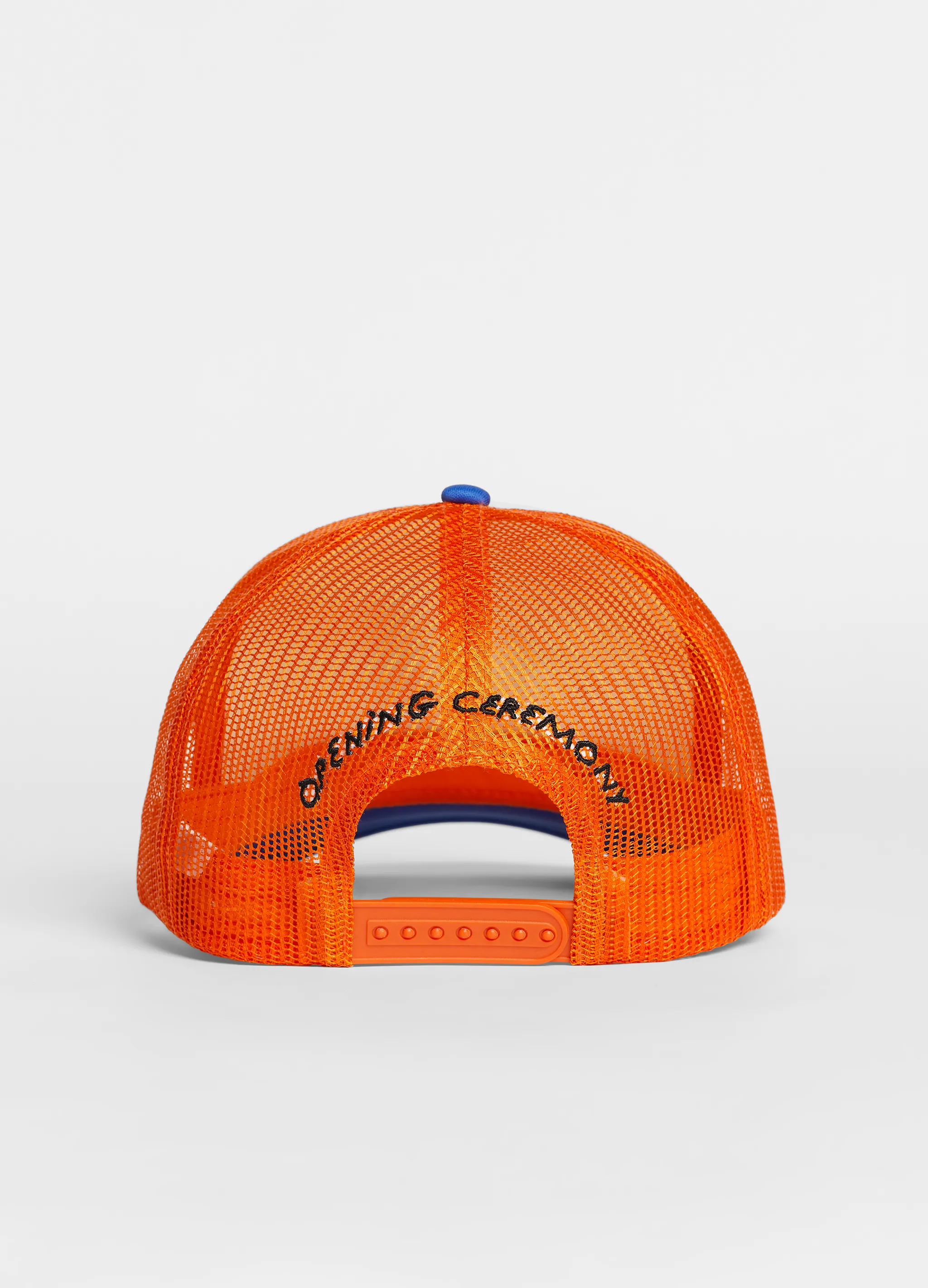 CACTUS DOG CAP