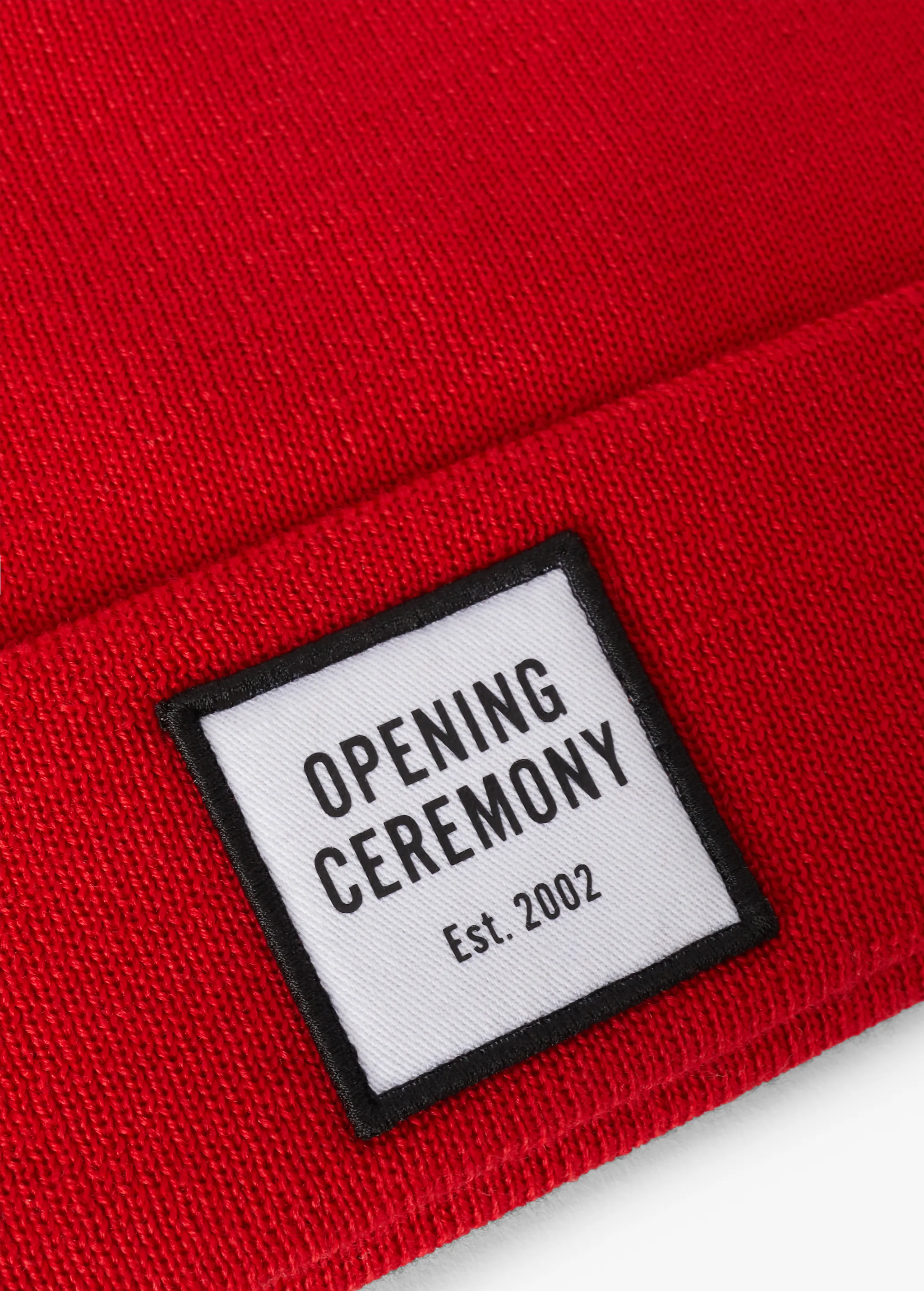 LOGO BEANIE
