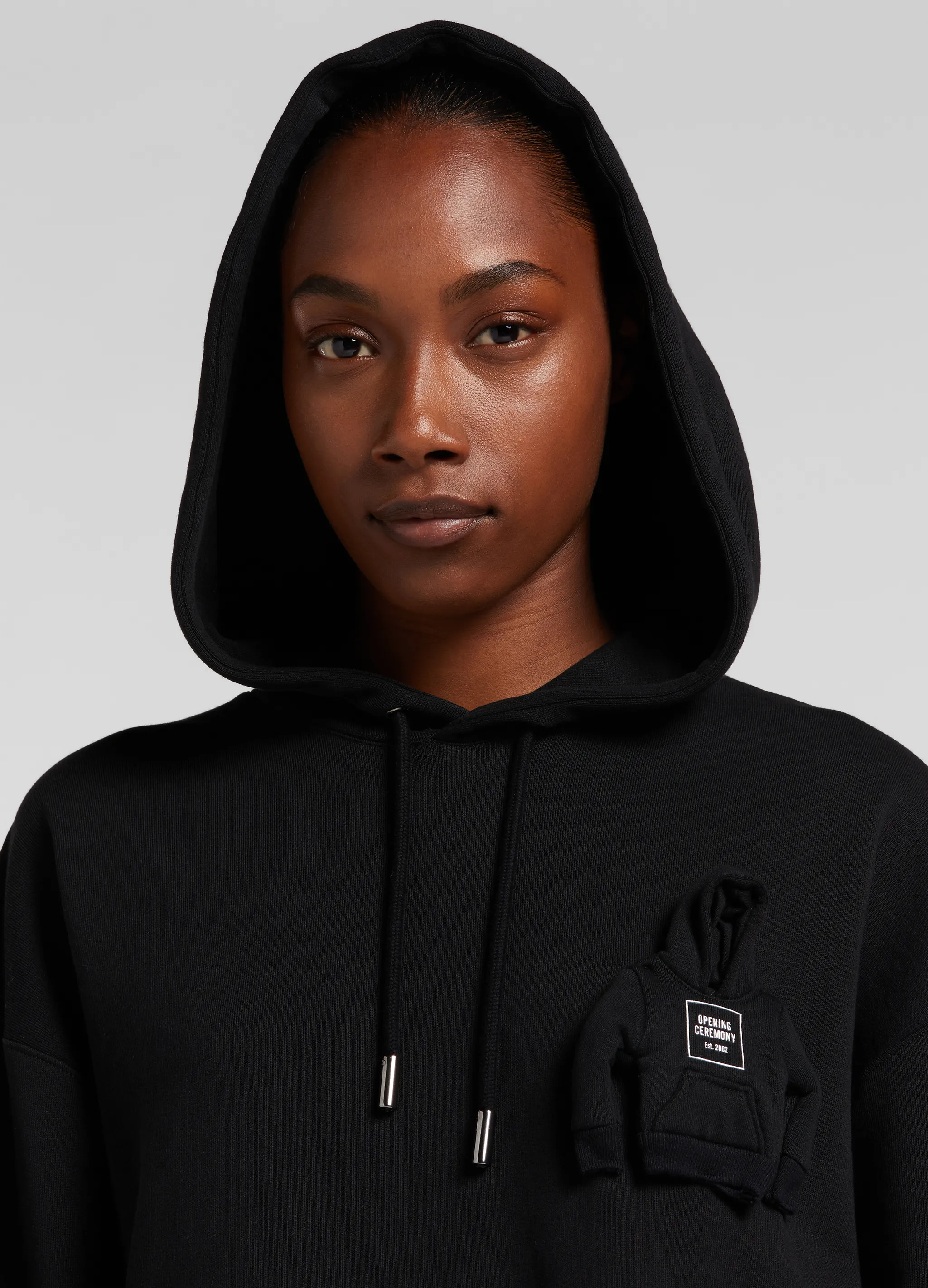MINIATURE BOX LOGO REG.HOODIE