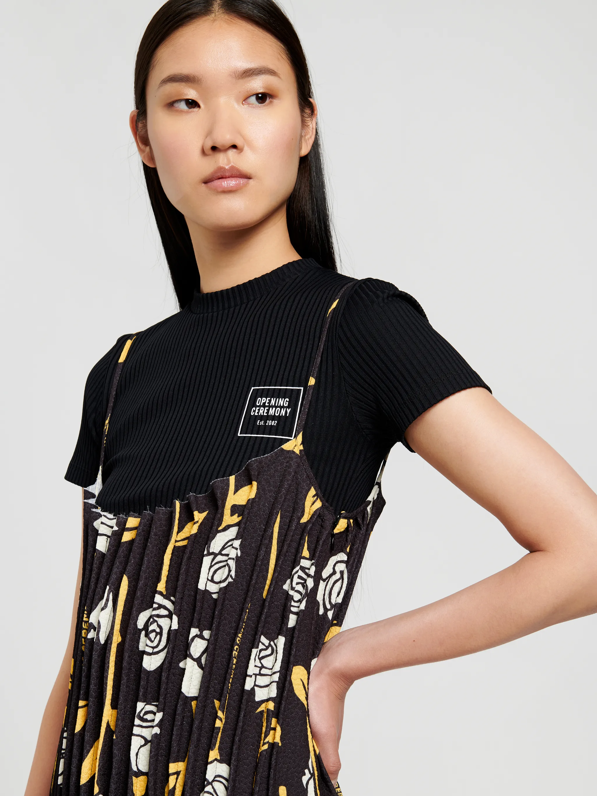 PLEATED DRESS ROSES ALLOVER
