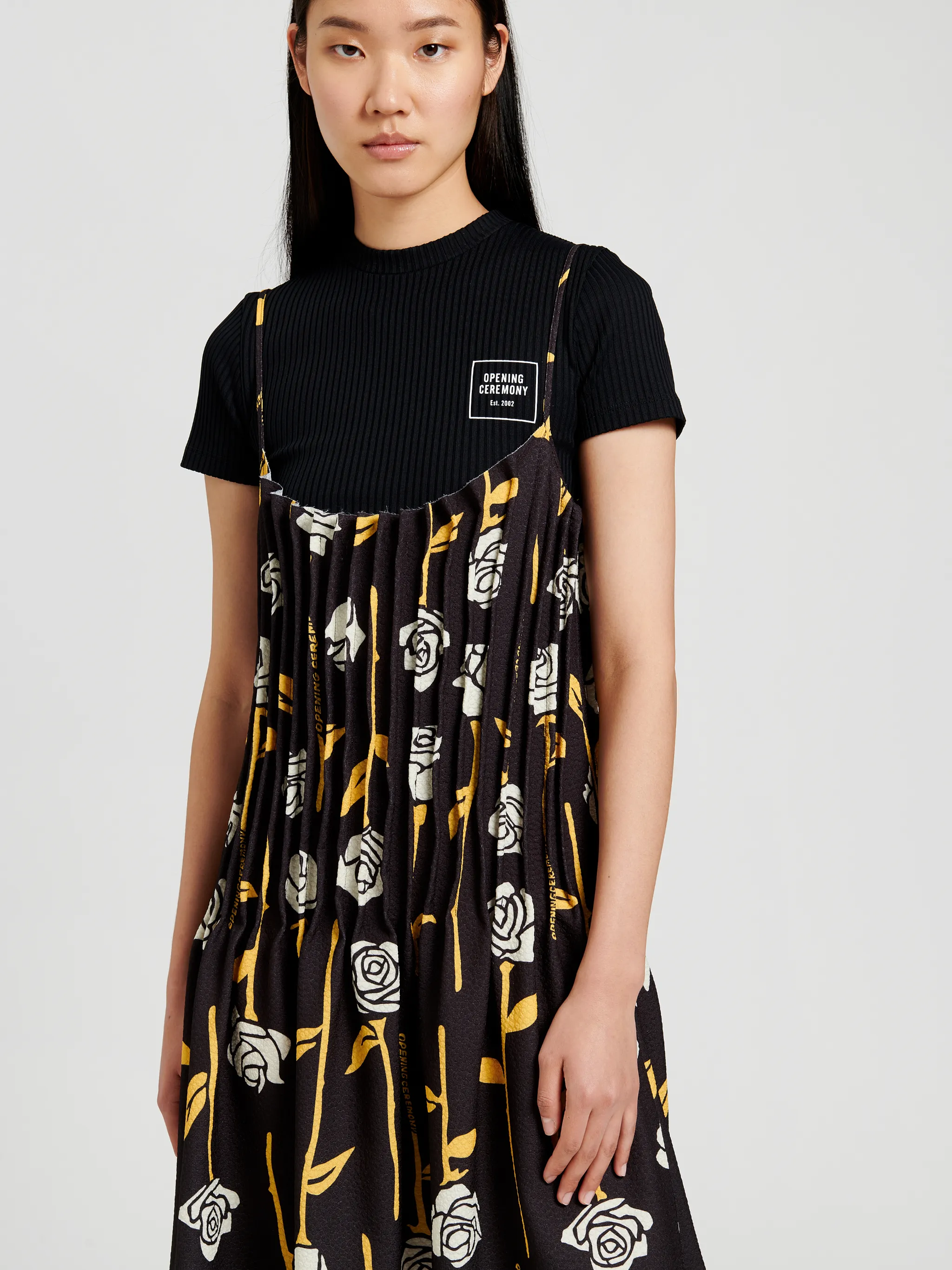 PLEATED DRESS ROSES ALLOVER