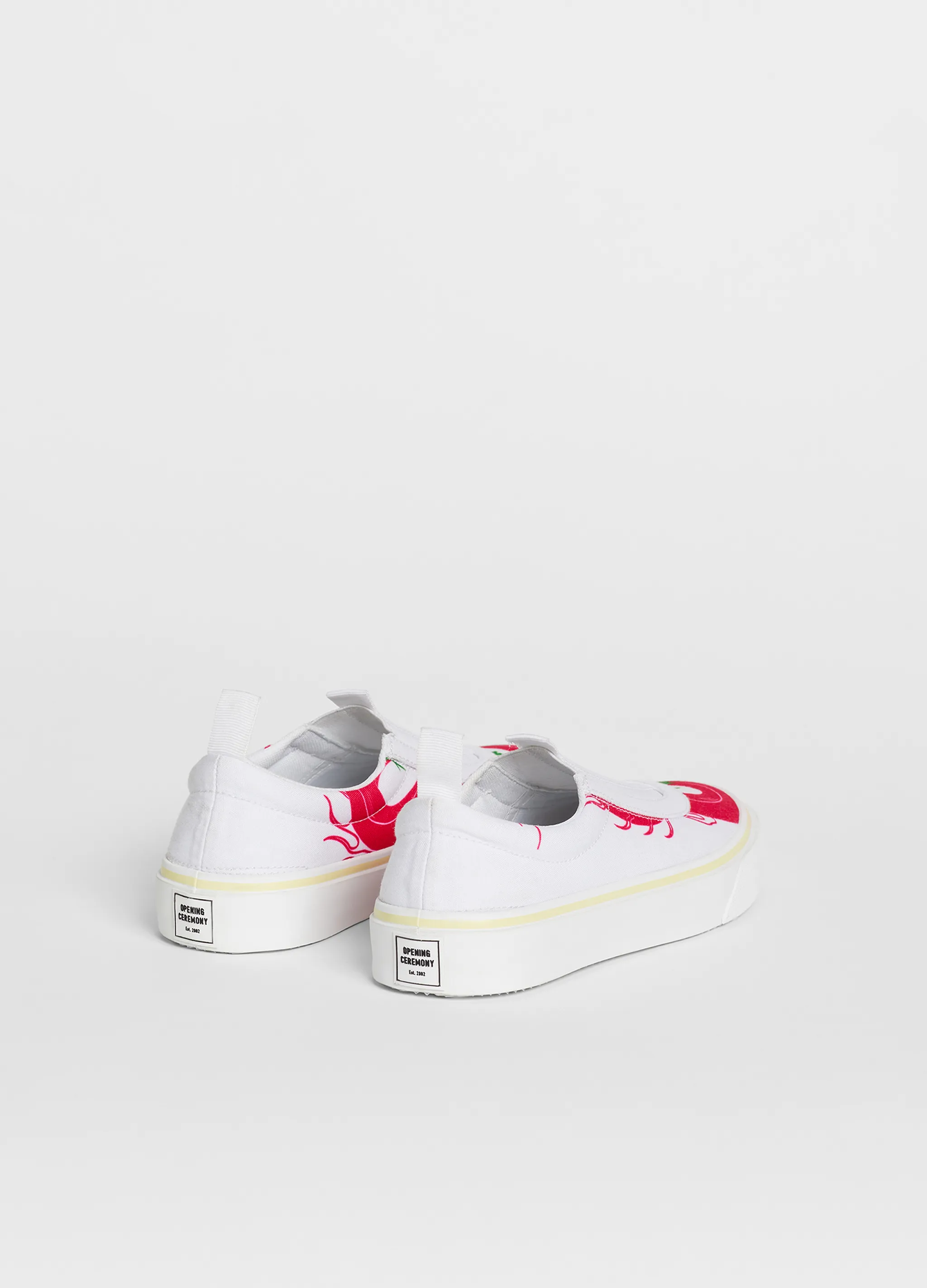SLIP ON DRAGON