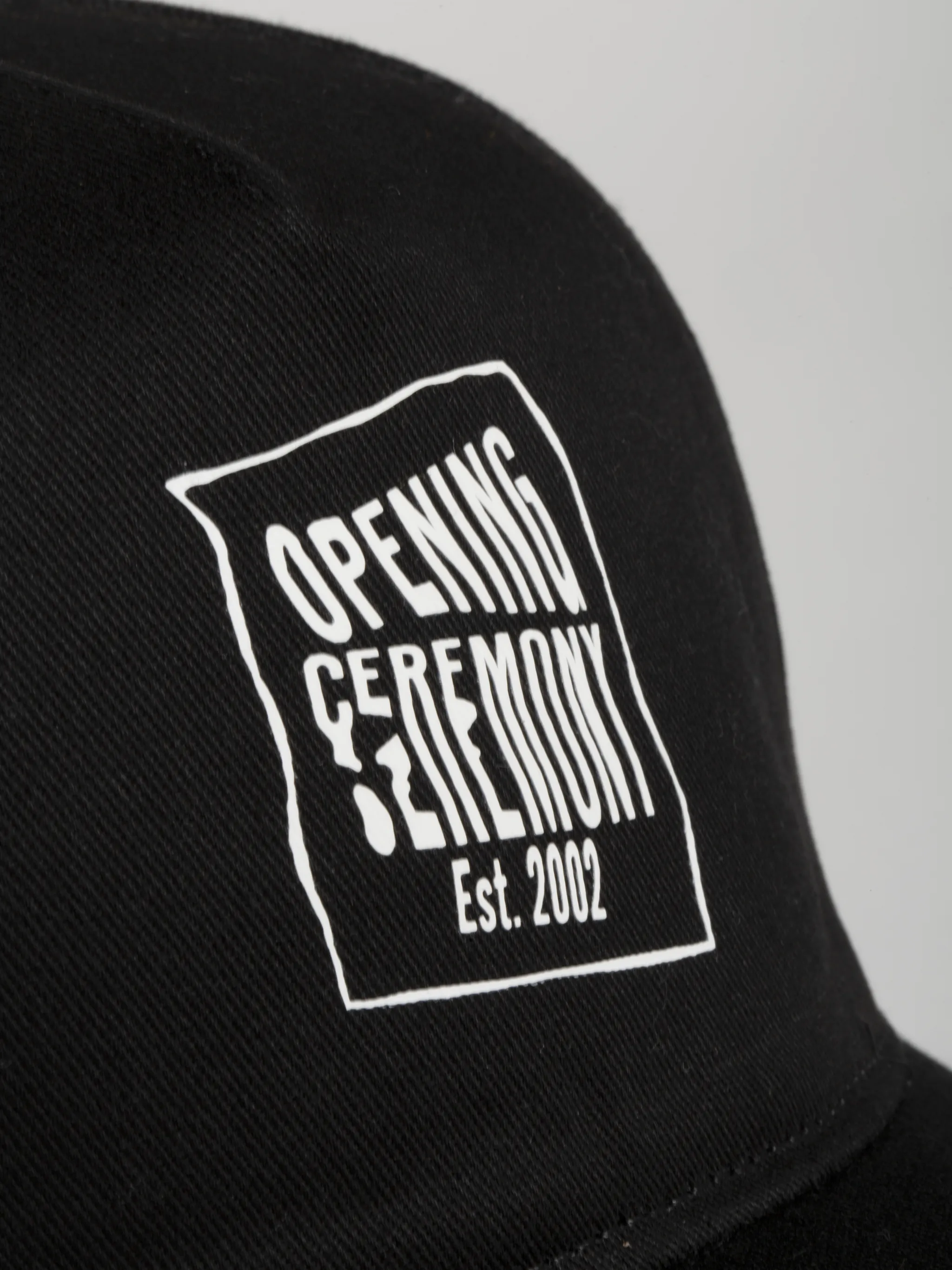 warped logo baseball cap