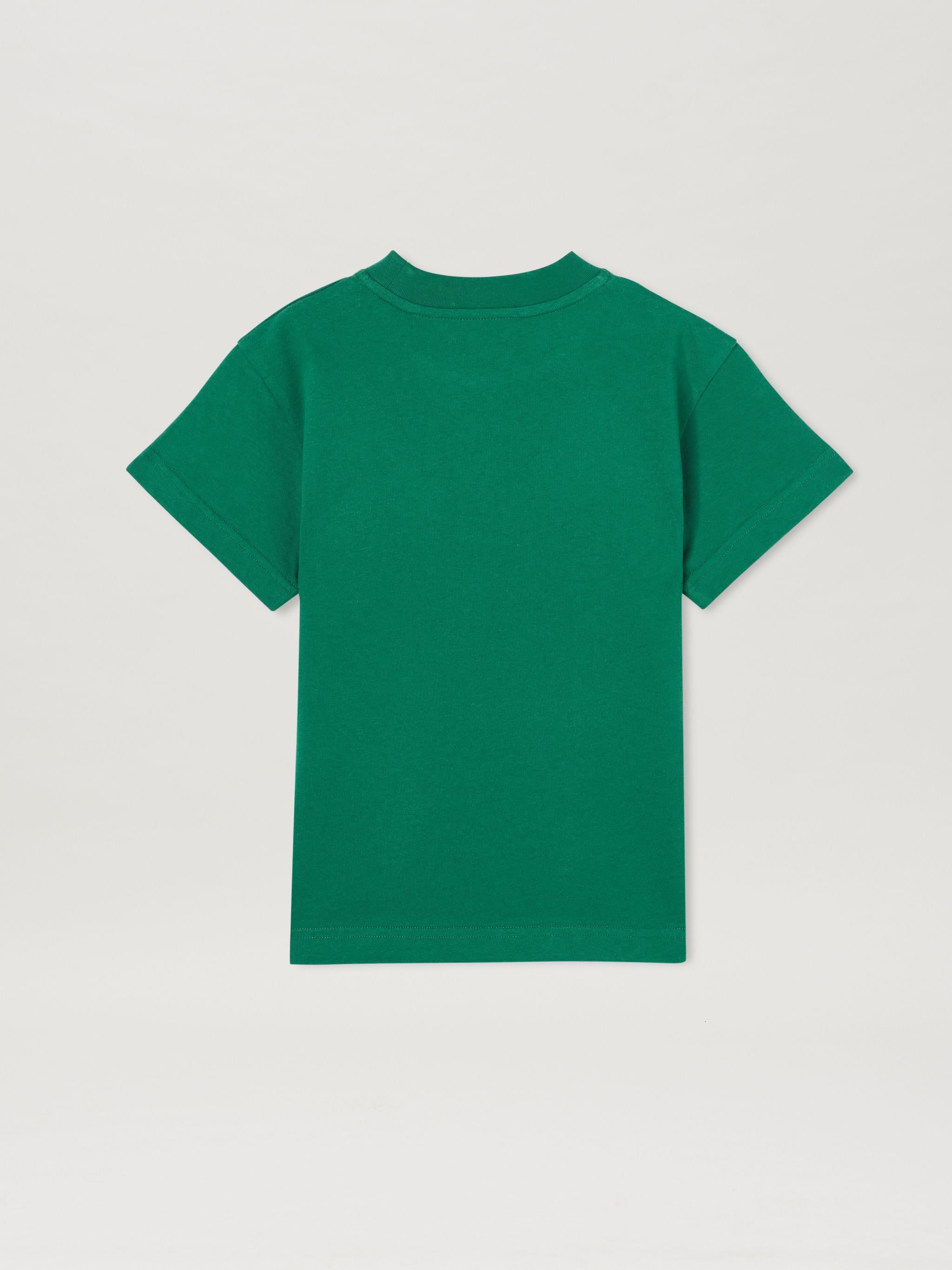 PALM ANGELS t-shirt BEAR Green for boys