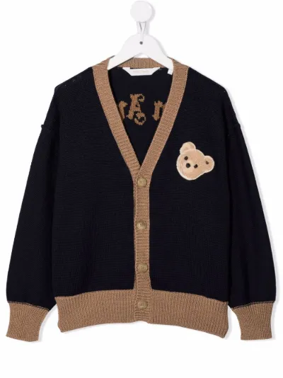 cardigan teddy bear