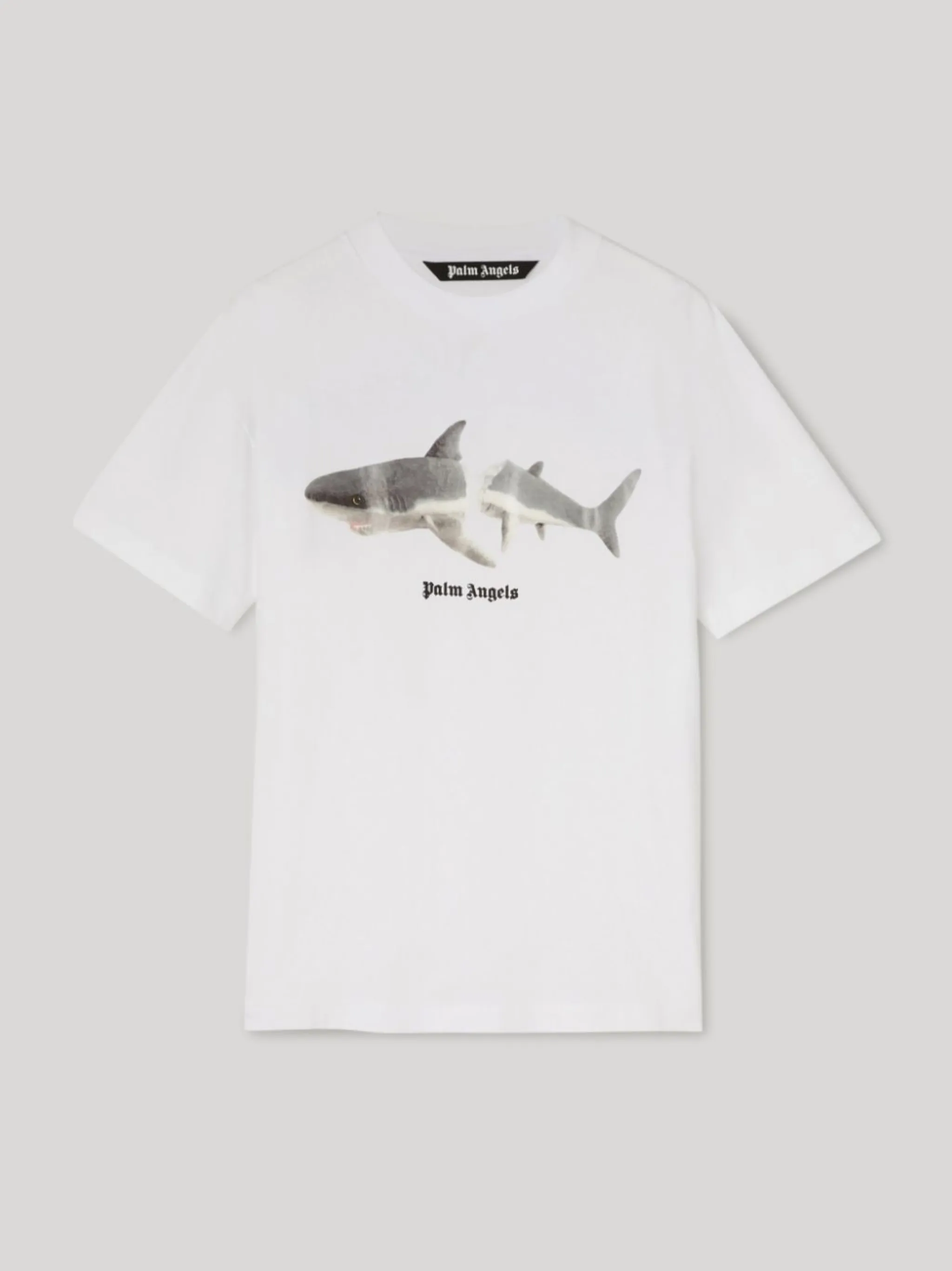 T-SHIRT SHARK - Sito ufficiale di Palm Angels®