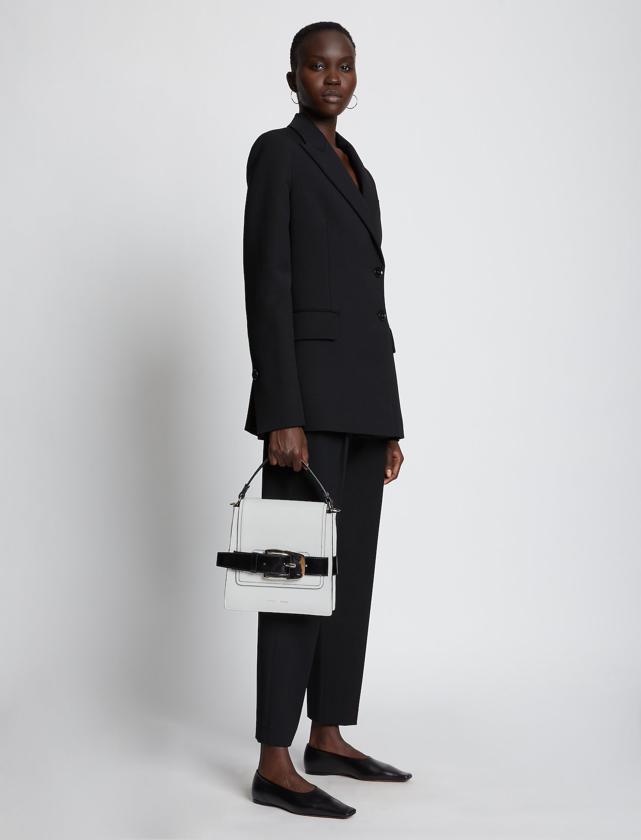Buckle Trapeze Bag #2