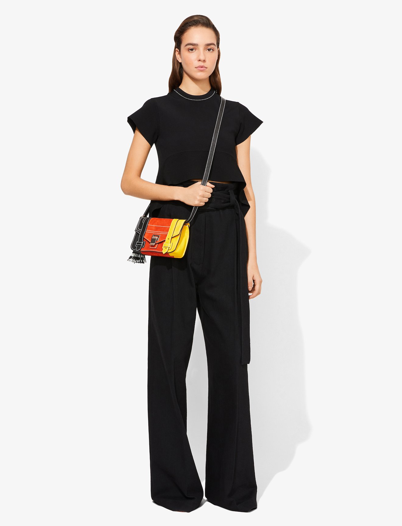 Colorblock PS1+ Mini Crossbody #2