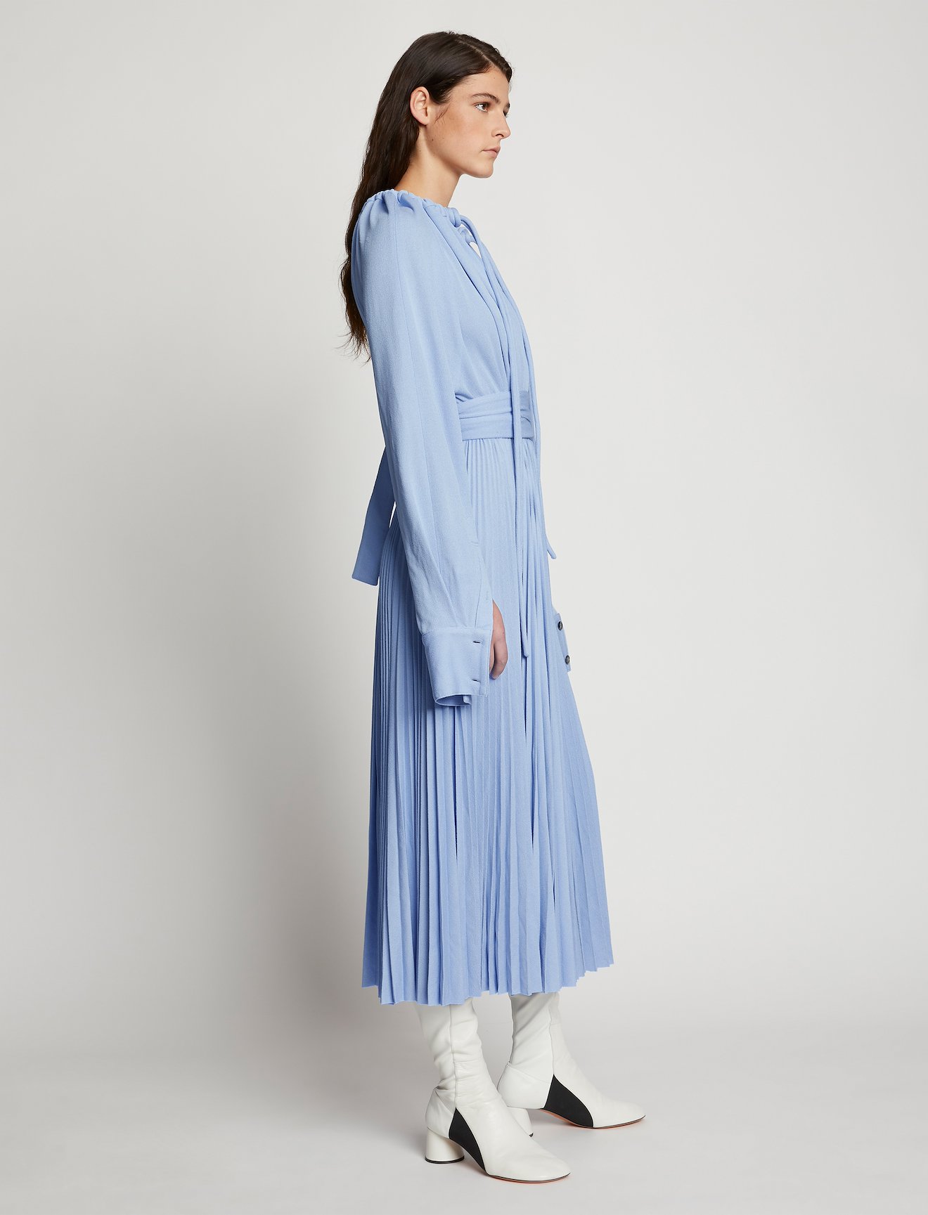 Crepe Jersey Pleated Dress #1